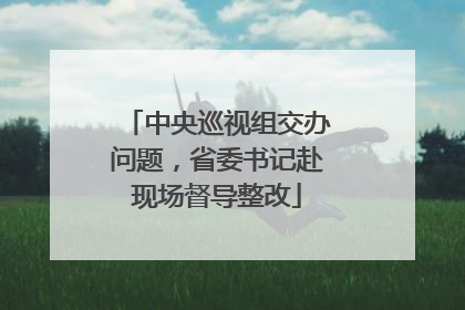 中央巡视组交办问题，省委书记赴现场督导整改