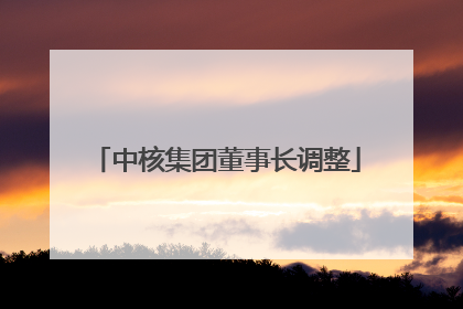 中核集团董事长调整