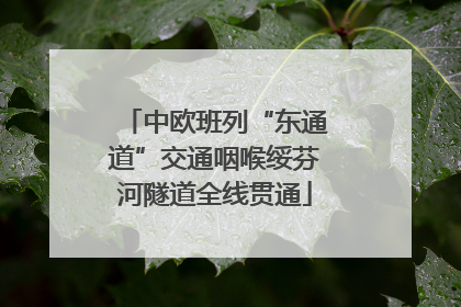 中欧班列“东通道”交通咽喉绥芬河隧道全线贯通