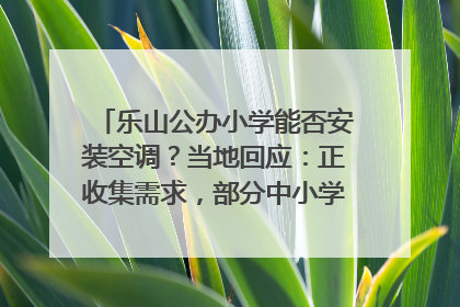 乐山公办小学能否安装空调？当地回应：正收集需求，部分中小学已启动安装｜云求助
