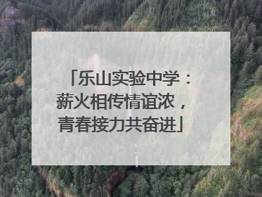 乐山实验中学：薪火相传情谊浓，青春接力共奋进