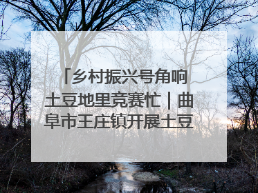 乡村振兴号角响 土豆地里竞赛忙｜曲阜市王庄镇开展土豆收获劳动竞赛