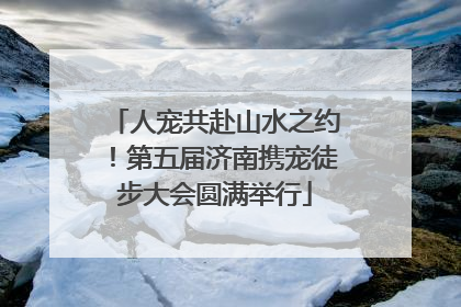 人宠共赴山水之约！第五届济南携宠徒步大会圆满举行