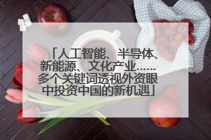 人工智能、半导体、新能源、文化产业……多个关键词透视外资眼中投资中国的新机遇