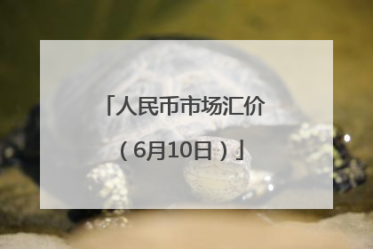 人民币市场汇价（6月10日）