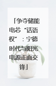 争夺储能电芯“话语权”：宁德时代与阳光电源正面交锋