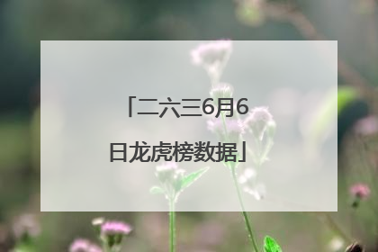 二六三6月6日龙虎榜数据