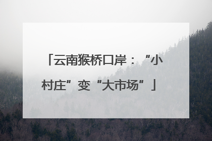 云南猴桥口岸：“小村庄”变“大市场”