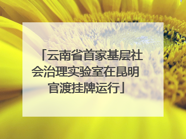 云南省首家基层社会治理实验室在昆明官渡挂牌运行