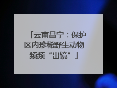 云南昌宁：保护区内珍稀野生动物频频“出镜”