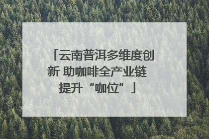 云南普洱多维度创新 助咖啡全产业链提升“咖位”