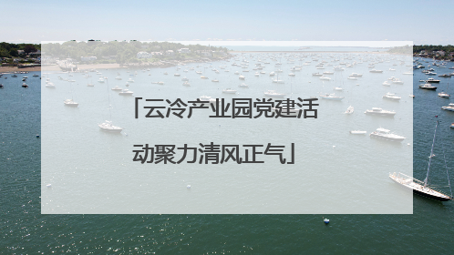 云冷产业园党建活动聚力清风正气