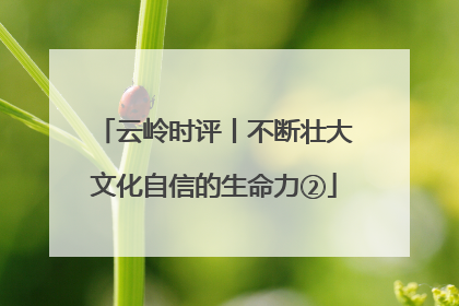 云岭时评丨不断壮大文化自信的生命力②