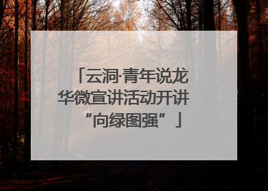 云洞·青年说龙华微宣讲活动开讲“向绿图强”
