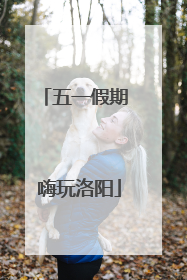 五一假期 嗨玩洛阳