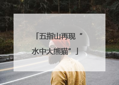 五指山再现“水中大熊猫”