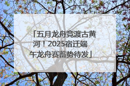 五月龙舟竞渡古黄河！2025宿迁端午龙舟赛蓄势待发