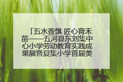 五水香飘 匠心育禾苗——五河县东刘集中心小学劳动教育实践成果展暨夏集小学首届美食节盛大举行