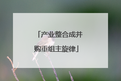 产业整合成并购重组主旋律
