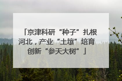 京津科研“种子”扎根河北，产业“土壤”培育创新“参天大树”