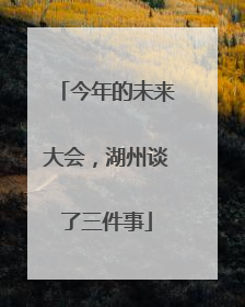 今年的未来大会，湖州谈了三件事