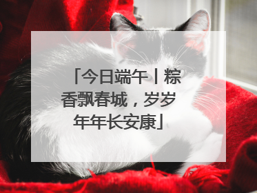 今日端午丨粽香飘春城，岁岁年年长安康