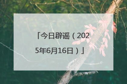 今日辟谣（2025年6月16日）