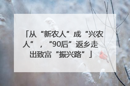 从“新农人”成“兴农人”，“90后”返乡走出致富“振兴路”