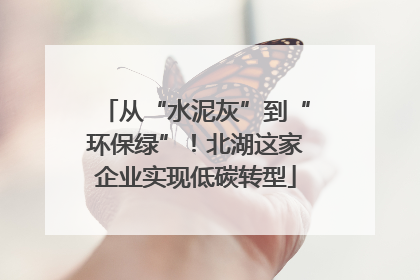 从“水泥灰”到“环保绿”！北湖这家企业实现低碳转型