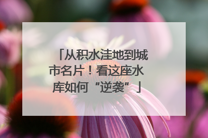 从积水洼地到城市名片！看这座水库如何“逆袭”