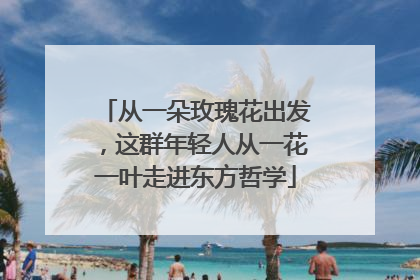 从一朵玫瑰花出发，这群年轻人从一花一叶走进东方哲学