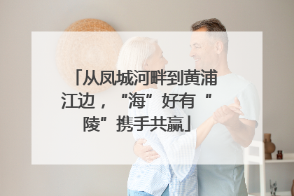 从凤城河畔到黄浦江边，“海”好有“陵”携手共赢