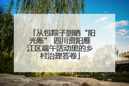 从包粽子到晒“阳光账” 四川资阳雁江区端午活动里的乡村治理答卷