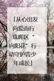 从心出发 向爱而行 珠晖区“向阳花”行动守护青少年成长