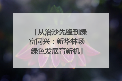 从治沙先锋到绿富同兴：新华林场绿色发展育新机
