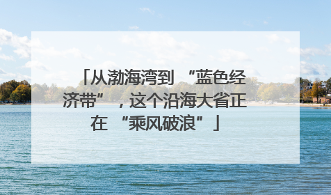 从渤海湾到 “蓝色经济带”，这个沿海大省正在 “乘风破浪”