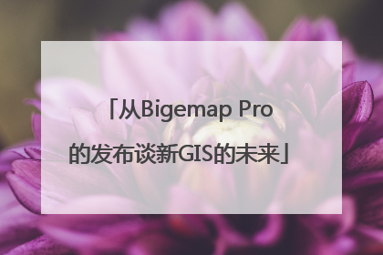 从Bigemap Pro的发布谈新GIS的未来