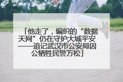 他走了，编织的“数据天网”仍在守护大城平安——追记武汉市公安局因公牺牲民警万松