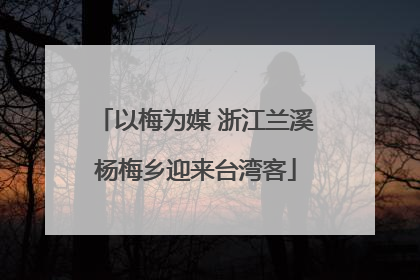 以梅为媒 浙江兰溪杨梅乡迎来台湾客