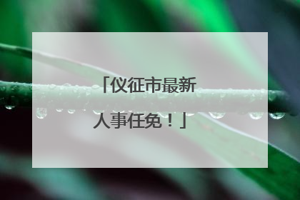 仪征市最新人事任免！
