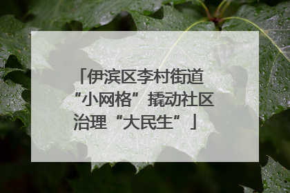 伊滨区李村街道 “小网格”撬动社区治理“大民生”