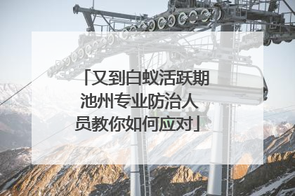 又到白蚁活跃期 池州专业防治人员教你如何应对