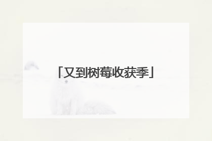 又到树莓收获季