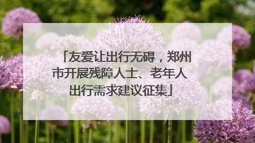 友爱让出行无碍，郑州市开展残障人士、老年人出行需求建议征集