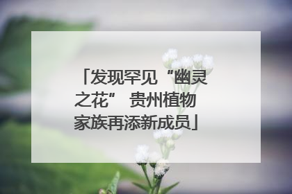 发现罕见“幽灵之花” 贵州植物家族再添新成员