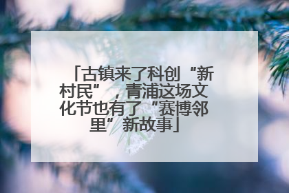 古镇来了科创“新村民”，青浦这场文化节也有了“赛博邻里”新故事