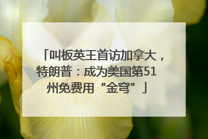 叫板英王首访加拿大，特朗普：成为美国第51州免费用“金穹”