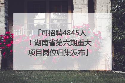 可招聘4845人！湖南省第六期重大项目岗位归集发布