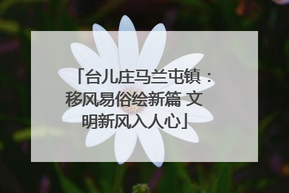 台儿庄马兰屯镇：移风易俗绘新篇 文明新风入人心