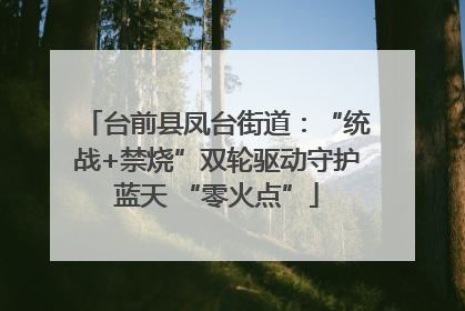 台前县凤台街道：“统战+禁烧”双轮驱动守护蓝天 “零火点”